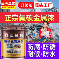 迅彩环保水性漆 五升装 洁净无味 防霉抗碱 健康家居选择