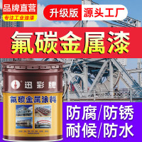 迅彩环保墙面漆全效五合一净味抗甲醛防霉透气性好易施工