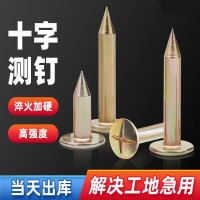 EVALIANTOP 测量控制点标志测绘钉 8cm粗 5cm长