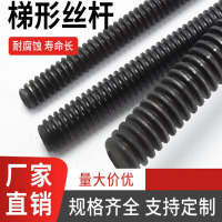辕士 五金配件 螺纹杆 φ16*200