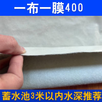 EVALIANTOP 土工布长丝加厚池塘鱼塘防水防渗土工布400g/平方4*40