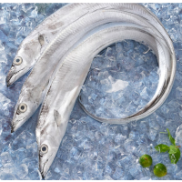 带鱼500g生鲜鱼类