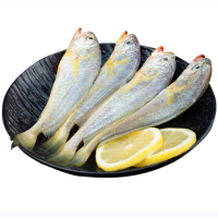 小黄鱼500g生鲜鱼类烧烤食材