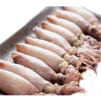 籽乌500g满籽墨鱼仔