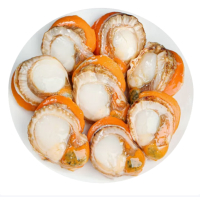 扇贝肉500g烧烤火锅食材