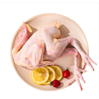 三黄鸡500g鲜三黄鸡