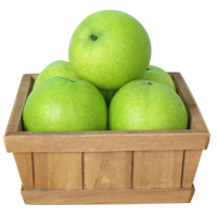 青梨500g青皮梨子