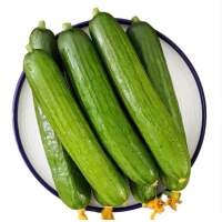 水果黄瓜500g嫩黄瓜