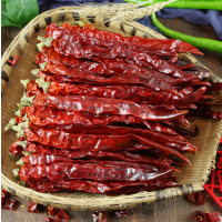 二荆条辣椒500g香辣长海椒