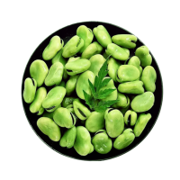 冻蚕豆500g速冻蚕豆粒