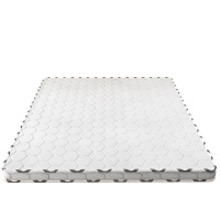 悦兴诚床垫5cm厚 1200*2000mm张