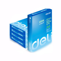 得力 7419 莱茵河复印纸 A4 80g 5包/箱