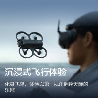 DJI Avata 2 畅飞套装(单电池版)