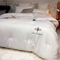 伊伊爱Z01900015全棉斜纹棉花冬被秋冬保暖被6斤200*230cm(条)