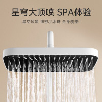 欧琳(OULIN)浴室淋浴花洒增压花洒喷头钢琴按键白色花洒数显淋雨器OL-CH3303-W