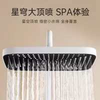 欧琳(OULIN)浴室淋浴花洒增压花洒喷头钢琴按键白色花洒数显淋雨器OL-CH3303-W