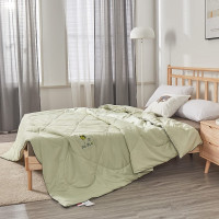 红豆家纺(Hodo Home)春日青柠抗菌被/条200*230CM