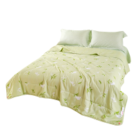 恒源祥 春芽绿抗菌夏被HYX181BZ-DZ 200*230 cm