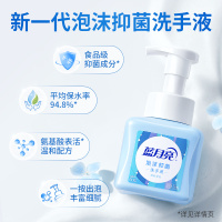 蓝月亮琥珀雪松泡沫抑菌洗手液255ml
