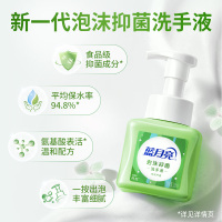 蓝月亮芦荟泡沫抑菌洗手液255ml