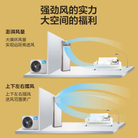 美的(Midea)LF-120LW/BSN8Y-PA401(B3)A 5匹柜式空调单冷制柜机5匹铜管+5匹不锈钢吊架