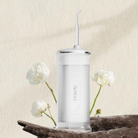 艾优 APIYOO复古智能冲牙器X11白色