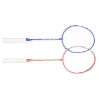 飞尔顿羽毛球拍套装FED-YP-02-001-ZH01球拍2个+球3个+包
