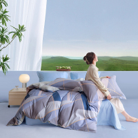 恒源祥 露影磨毛四件套HYX234TJ-DZ(拎盒)200*230cm