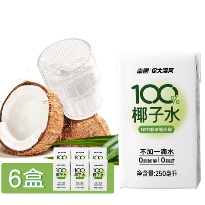 南國(Nanguo) 椰子水250ml*6盒