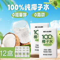 南國(Nanguo) 椰子水250ml*12盒