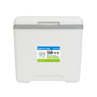 美旅(AMERICAN TOURISTER) 13L 保温箱 AT-6010(注水冰袋*5个+冰晶盒*1)