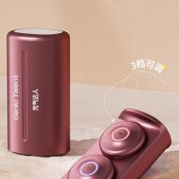 元气达人 电子艾灸仪智能无烟随身灸(充电仓*1+磁吸导头*4+艾草热灸贴*80贴)