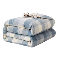 悠梦嘉居 全棉色织水洗棉花被YB-10905神采150*200