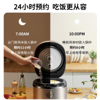 九阳(Joyoung)电饭煲 F40FY-F333