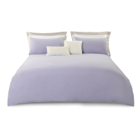 洁玉(Jeyu) 都市漫想柔软亲肤四件套-紫J4722200cm*230cm