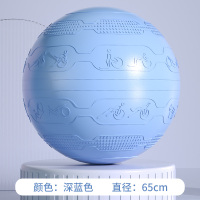 PROIRON普力艾 浮雕瑜伽球直径65cm深蓝色