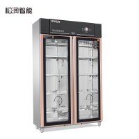 松润智能 商用消毒柜 酒店饭店学校医院厨房用紫外线消毒SOR-H502 双门文件柜/毛巾柜