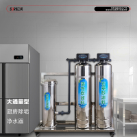SOR松润 商用净水器 适用企事业行政服务单位酒楼写字楼等商业家庭用水SOR-A110 除垢净水