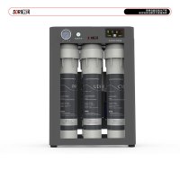 SOR松润 商用净水器 适用企事业行政服务单位酒楼写字楼等商业家庭用水SOR-A603 800G台下净水器