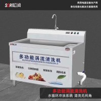 SOR松润 商用洗菜机 酒店厨房学校食堂蔬菜加工厂用 TG3005DF洗菜机2米