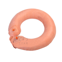 巴尔库勒救生圈充气式橡胶双气囊海训湖训防汛救灾游泳圈87式