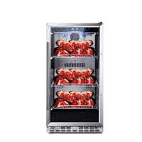 麦大厨 MDC-ZLC3-72S 220V 100W 标准款干式熟成柜(240L)