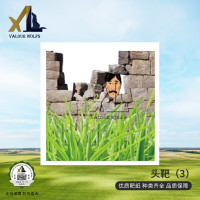 骁狼(XIAOLANG) 靶纸 打靶训练器材 头部靶纸(3) 100张