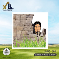 骁狼(XIAOLANG) 靶纸 打靶训练器材 头部靶纸(4) 100张