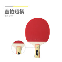 晨光 AST09317 家庭娱乐乒乓球拍套装 套拍 -直拍 1套-#