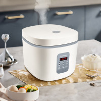 豹牌 BP-WB166 多功能电饭煲