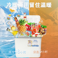 三极 TP5563 冷藏箱保温箱钓鱼箱户外野餐钓鱼商用摆摊冷冻家用手提车载保鲜箱 蓝色28L[10个冰袋2个冰板]