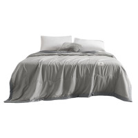 三极 TP2880 可水洗真丝棉花夏被芯夏凉空调被单双人夏季夏凉被 150x200cm 雅士灰