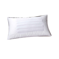 三极 TP2984 荞麦两用枕 成人单人枕芯 40*65cm