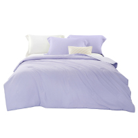 洁玉(Jeyu) 缤纷假日水洗夏被-紫J4723150cm*215cm